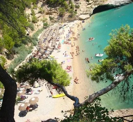 I Delfini * Pugnochiuso